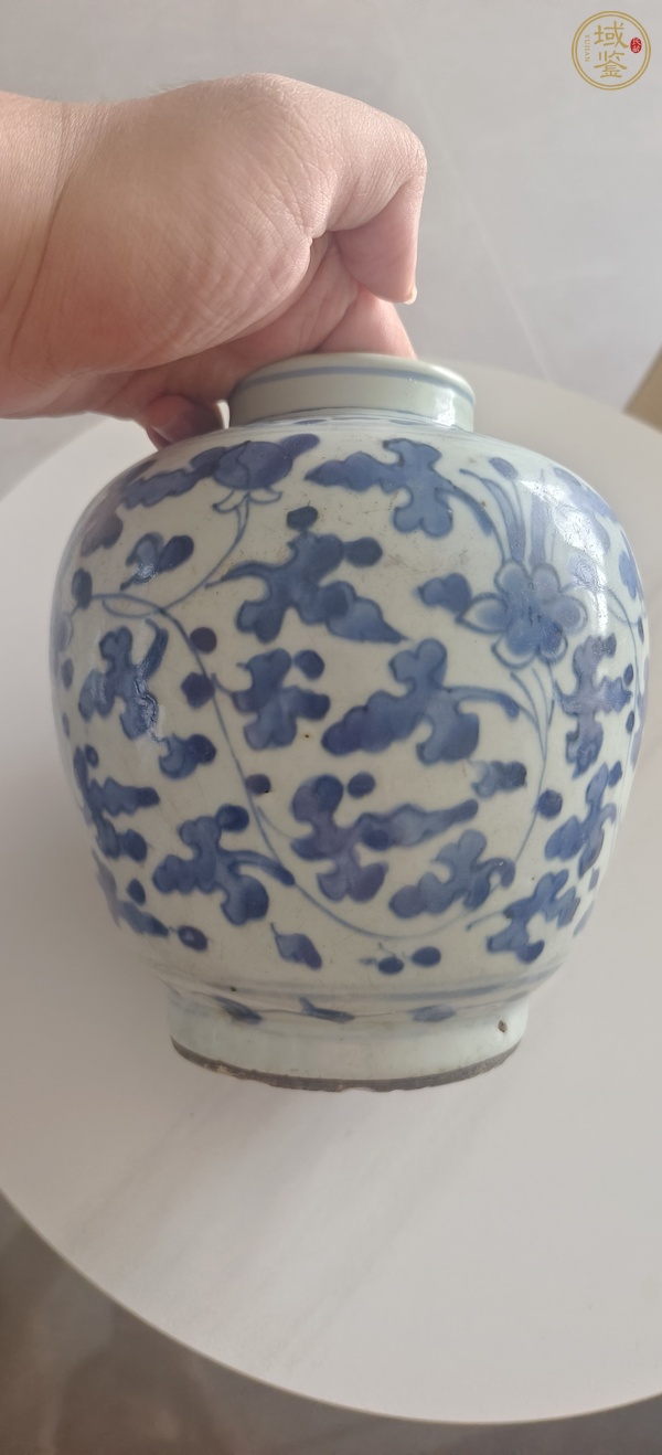 古玩陶瓷青花纏枝花卉紋罐真品鑒賞圖