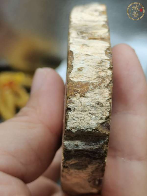 古玩雜項(xiàng)樹化石真品鑒賞圖