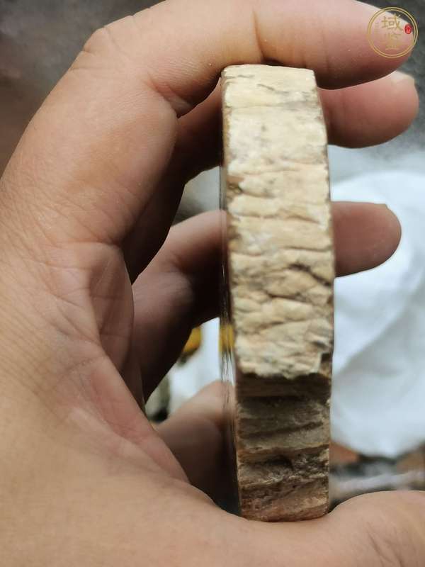 古玩雜項(xiàng)樹化石真品鑒賞圖