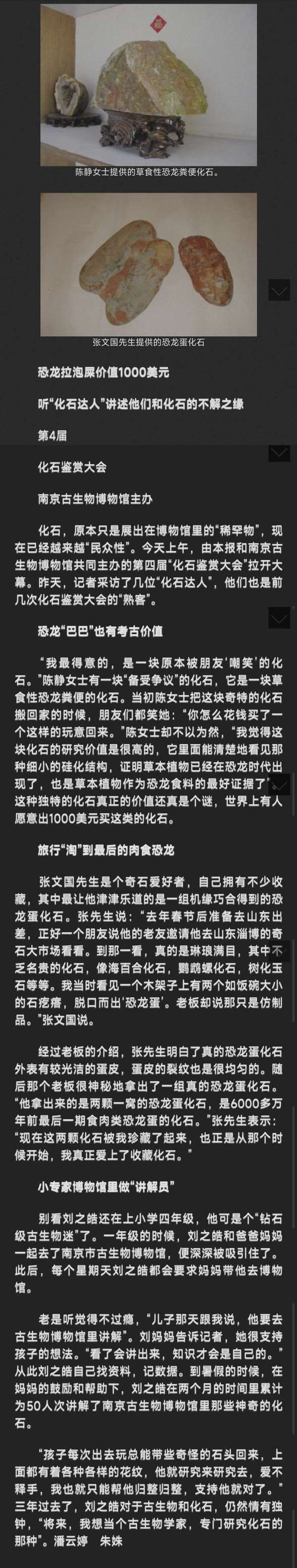 古玩雜項恐龍糞便hua石  (hua石類藏品的天花板)拍賣，當前價格0元