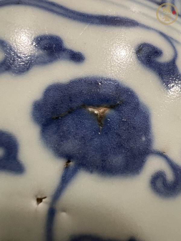 古玩陶瓷青花香草龍紋碗真品鑒賞圖