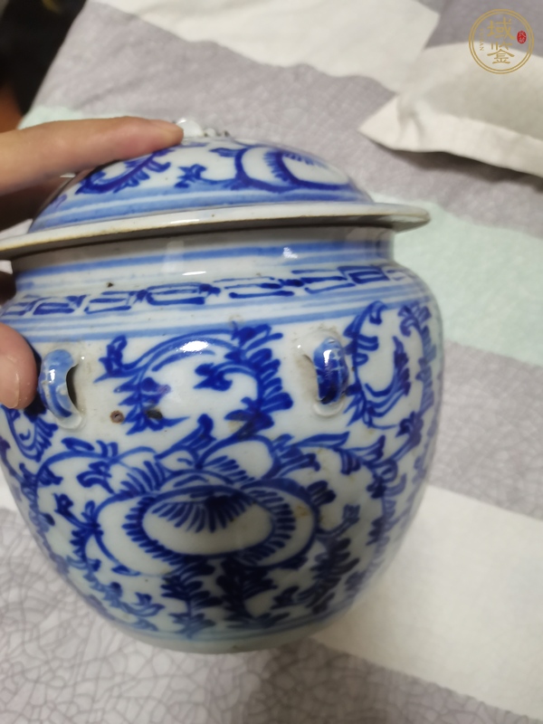 古玩陶瓷四系粥罐真品鑒賞圖