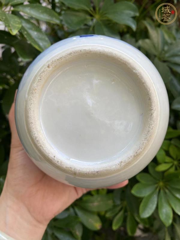 古玩陶瓷青花罐真品鑒賞圖