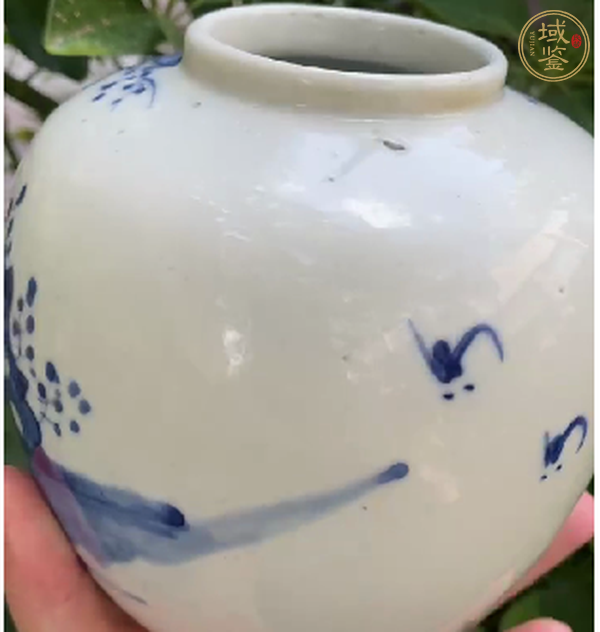 古玩陶瓷青花罐真品鑒賞圖