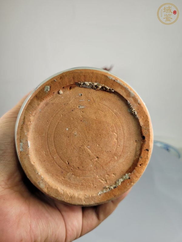 古玩陶瓷青花纏枝花卉紋梅瓶真品鑒賞圖