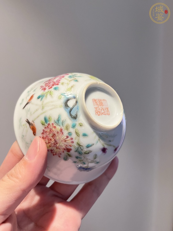 古玩陶瓷花鳥紋粉彩茶圓真品鑒賞圖