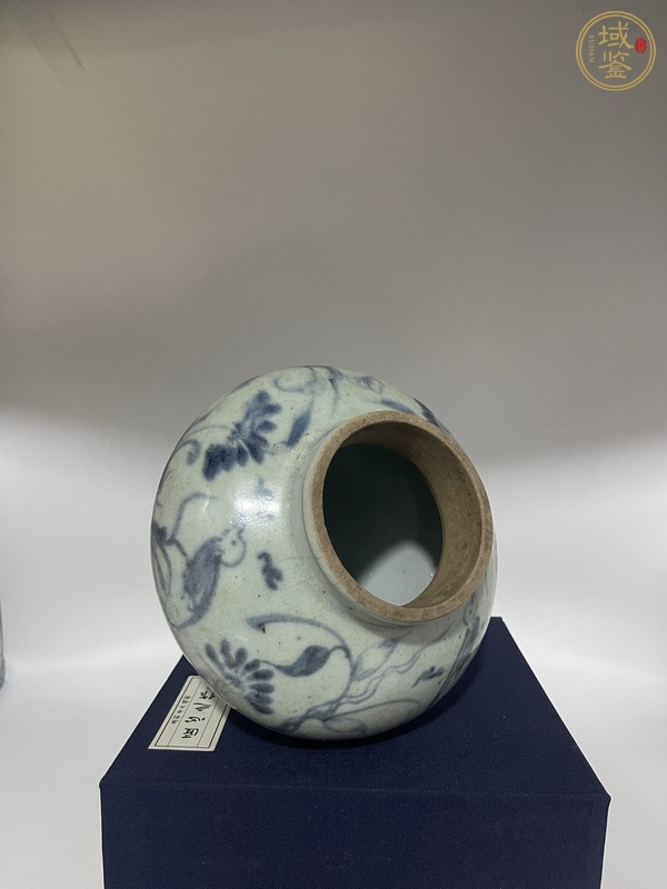 古玩陶瓷青花蓮池花鳥紋罐真品鑒賞圖