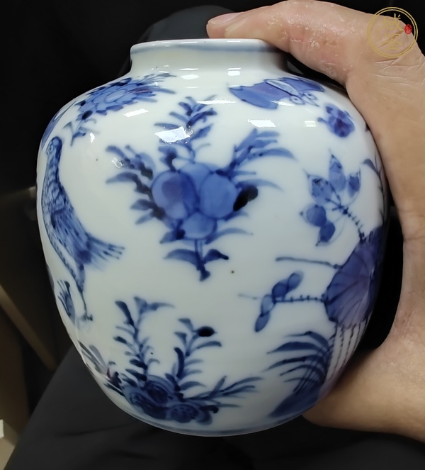 古玩陶瓷青花花鳥紋茶葉罐真品鑒賞圖