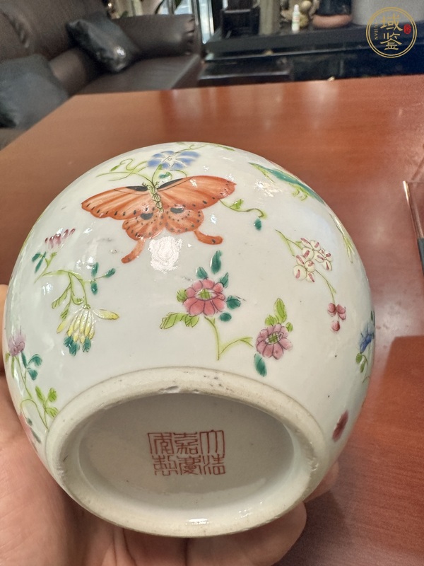 古玩陶瓷花蝶紋粉彩罐真品鑒賞圖