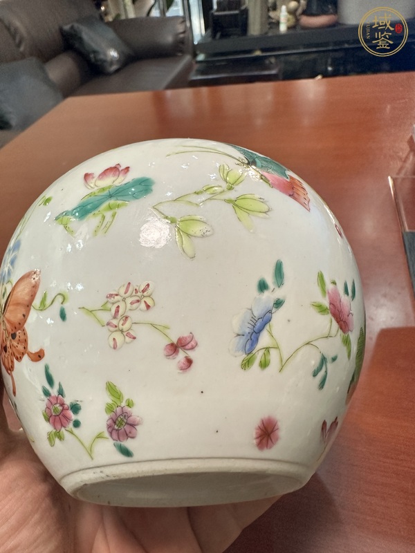 古玩陶瓷花蝶紋粉彩罐真品鑒賞圖