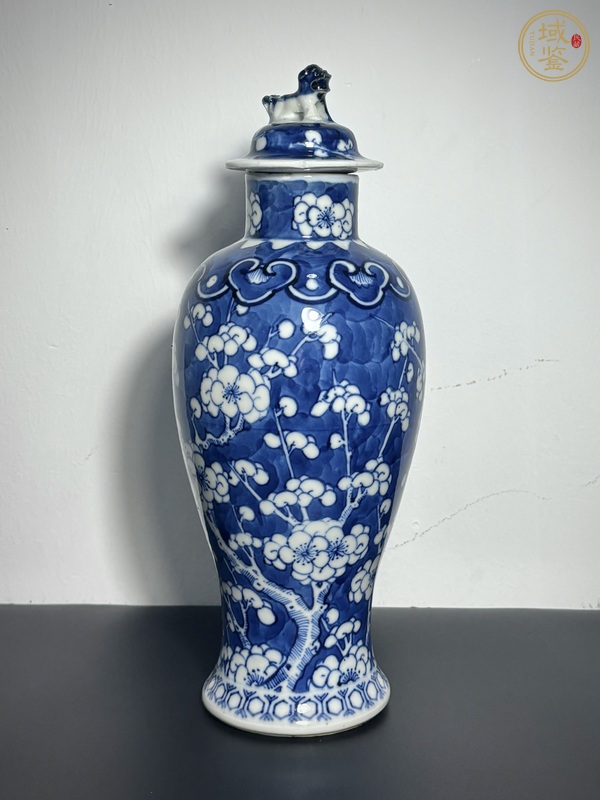 古玩陶瓷青花冰梅花卉紋梅瓶真品鑒賞圖