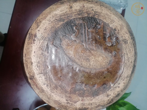 古玩陶瓷褐釉梅瓶真品鑒賞圖