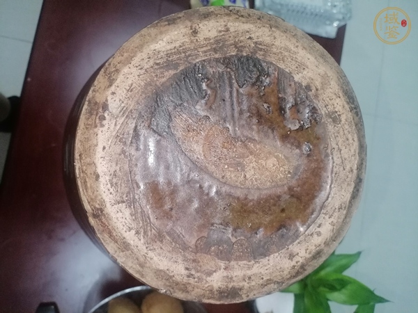 古玩陶瓷褐釉梅瓶真品鑒賞圖
