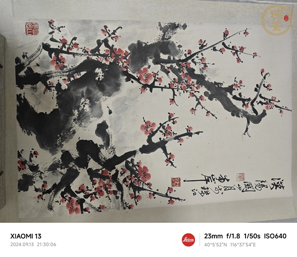 古玩字畫關(guān)山月款寫意梅花真品鑒賞圖