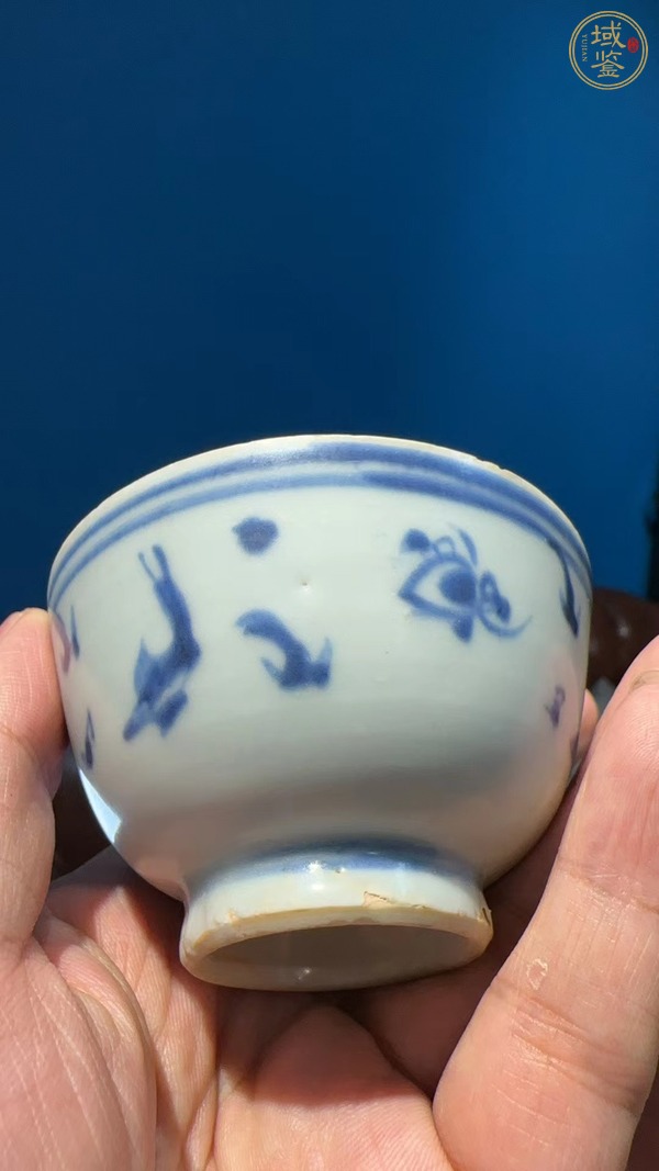 古玩陶瓷魚藻紋青花杯真品鑒賞圖