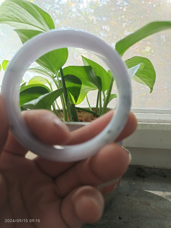 古玩玉器飄花翡翠手鐲拍賣,當(dāng)前價格1600元