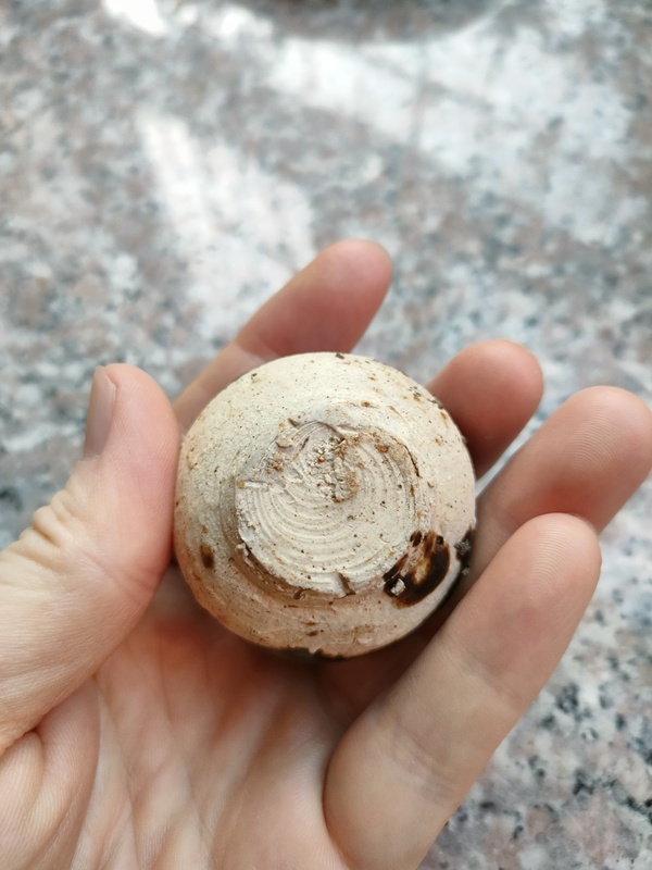 古玩陶瓷唐五代定窯黑釉小提梁拍賣，當(dāng)前價(jià)格600元