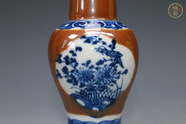古玩陶瓷清晚期·紫金釉開窗青花花鳥紋梅瓶真品鑒賞圖