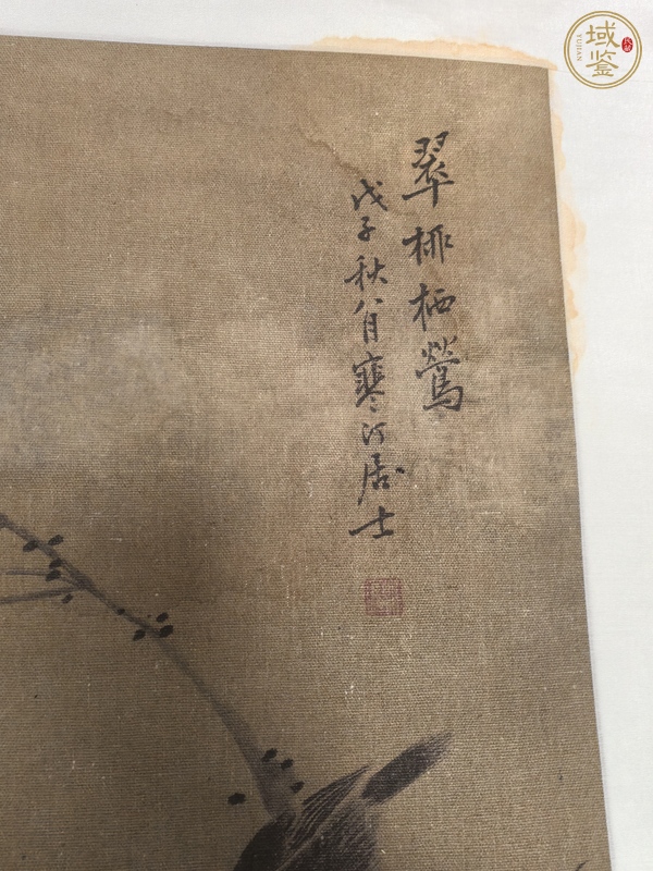 古玩字畫翠柳棲鶯真品鑒賞圖