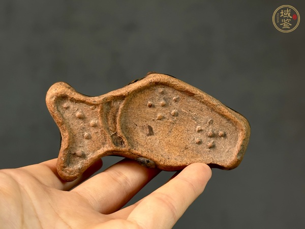 古玩陶瓷鯉魚水注真品鑒賞圖