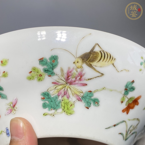 古玩陶瓷粉彩蟲草紋折腰碗真品鑒賞圖