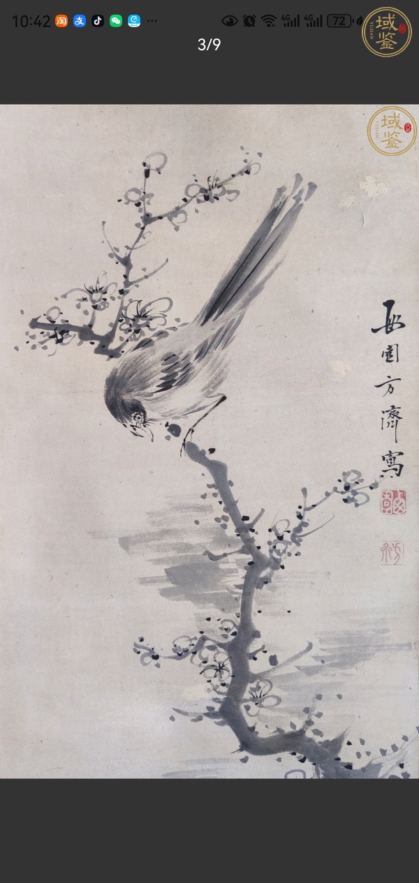 古玩字畫方濟花鳥真品鑒賞圖