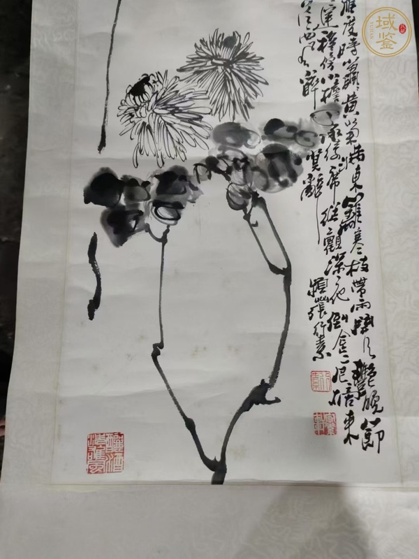 古玩字畫菊真品鑒賞圖