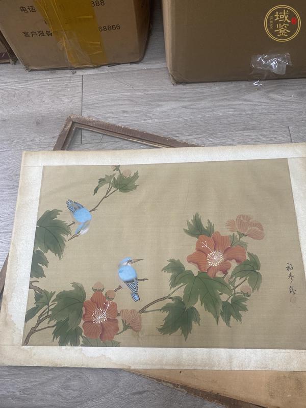 古玩字畫花鳥見精神真品鑒賞圖