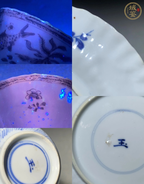 古玩陶瓷玉字款魚(yú)藻紋杯盤(pán)真品鑒賞圖