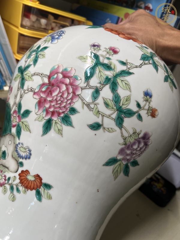 古玩陶瓷將軍罐真品鑒賞圖