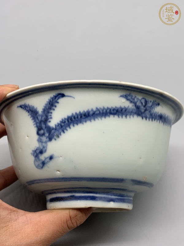 古玩陶瓷青花鳳紋碗真品鑒賞圖