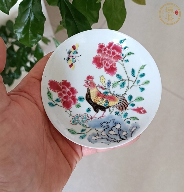 古玩陶瓷粉彩冠上加冠小蝶真品鑒賞圖