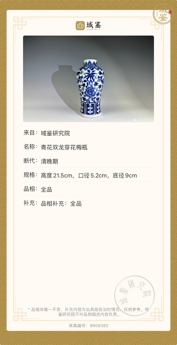 古玩陶瓷雙龍穿花梅瓶真品鑒賞圖
