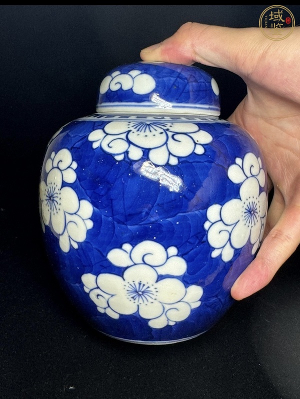 古玩陶瓷梅紋蓋罐真品鑒賞圖