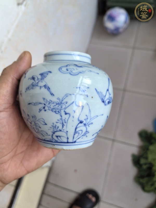 古玩陶瓷青花罐真品鑒賞圖