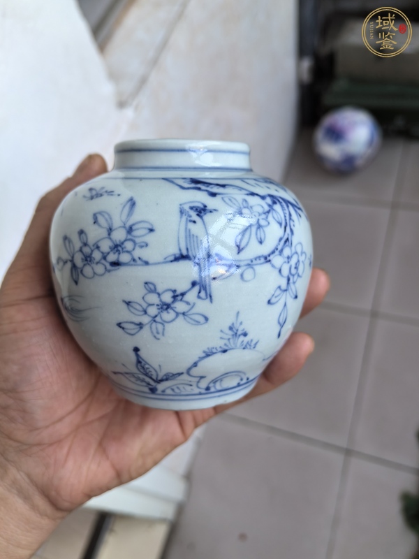 古玩陶瓷青花罐真品鑒賞圖