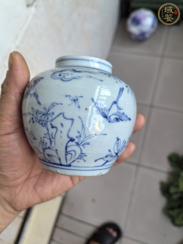 古玩陶瓷青花罐真品鑒賞圖