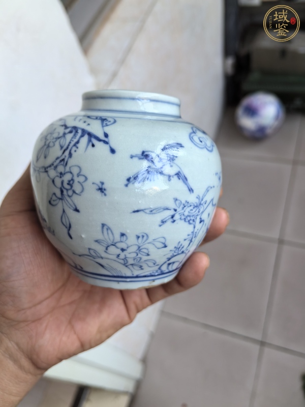 古玩陶瓷青花罐真品鑒賞圖