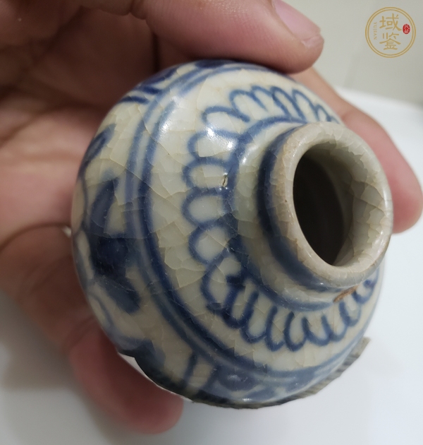 古玩陶瓷青花花卉紋水盂真品鑒賞圖