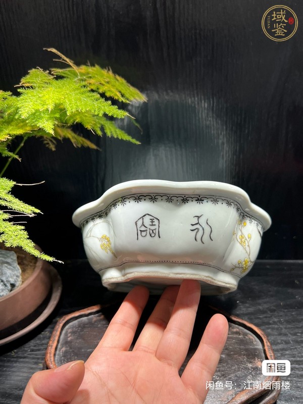 古玩陶瓷粉彩花鳥(niǎo)紋水仙盆真品鑒賞圖