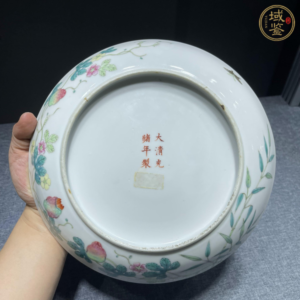 古玩陶瓷竹蝶癩瓜紋粉彩盤真品鑒賞圖