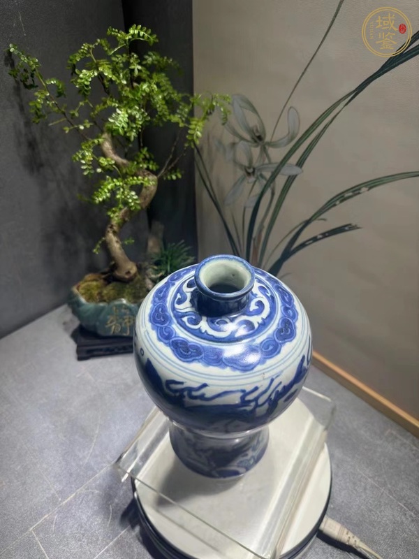 古玩陶瓷青花應(yīng)龍紋梅瓶，模糊，偏老真品鑒賞圖