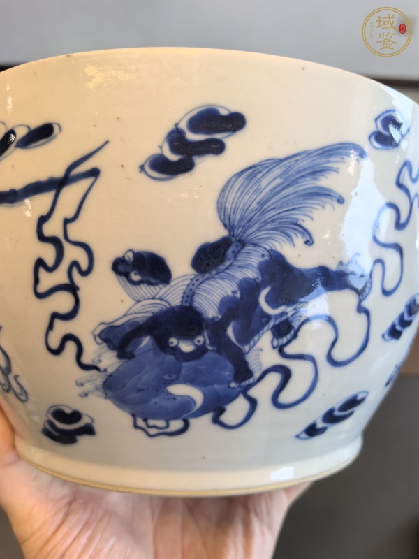 古玩陶瓷青花獅子繡球圖缸真品鑒賞圖