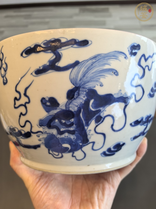 古玩陶瓷青花獅子繡球圖缸真品鑒賞圖