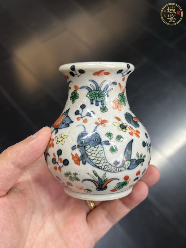 古玩陶瓷青花加彩魚(yú)紋小尊 真品鑒賞圖