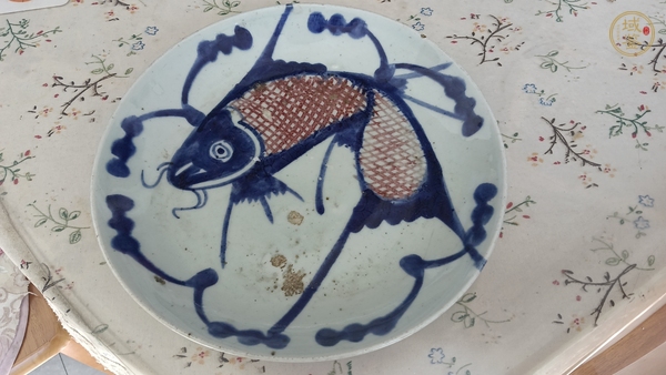 古玩陶瓷青花釉里紅魚藻紋盤真品鑒賞圖