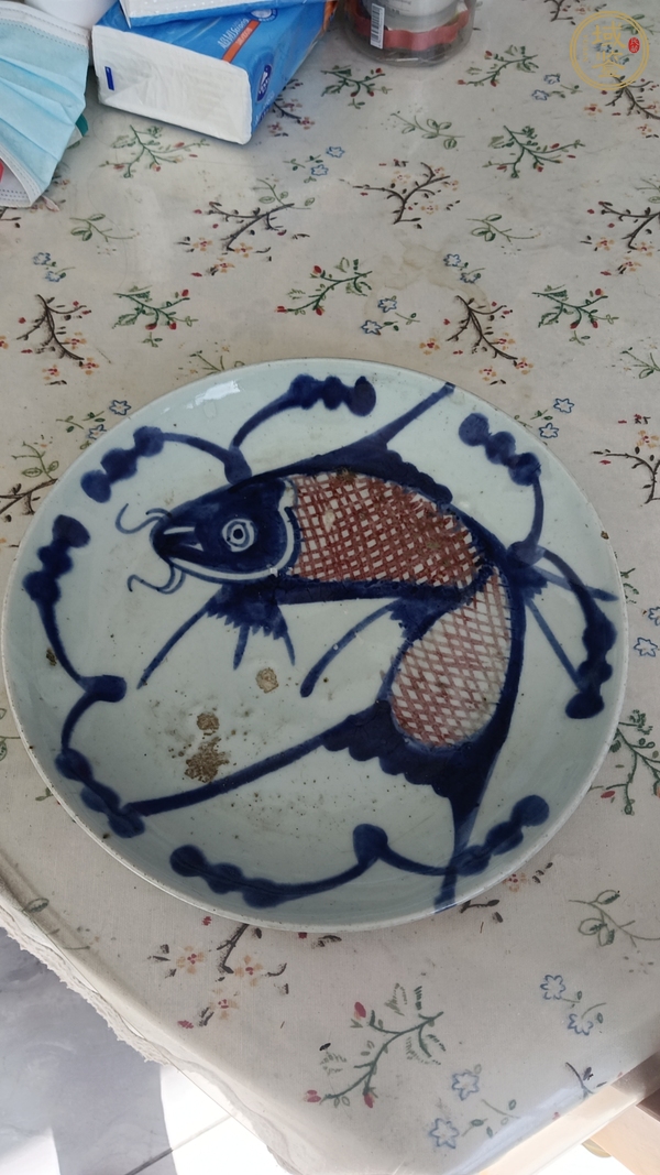 古玩陶瓷青花釉里紅魚藻紋盤真品鑒賞圖