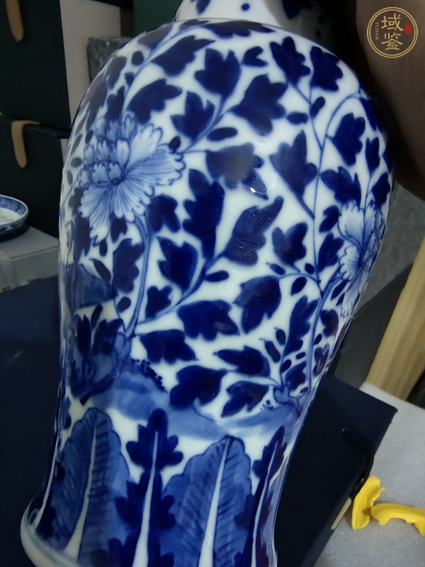 古玩陶瓷康熙年制款花鳥紋青花蓋瓶真品鑒賞圖