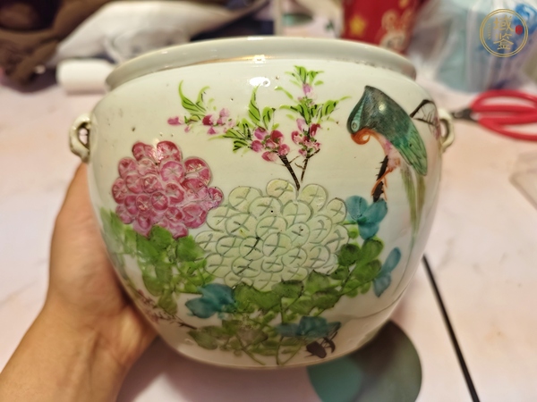 古玩陶瓷粉彩花鳥紋粥罐真品鑒賞圖