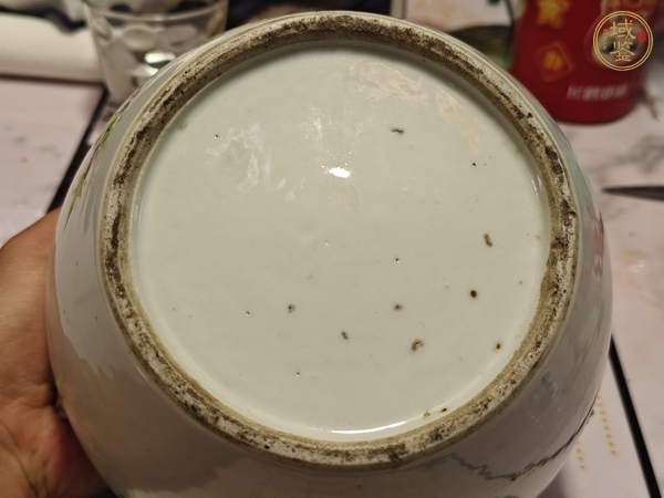 古玩陶瓷粉彩花鳥(niǎo)紋粥罐真品鑒賞圖